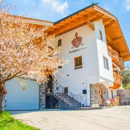 Apartament With Panoramic View Ramsau im Zillertal