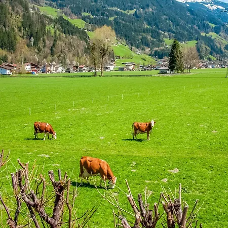 With Panoramic View Daire *