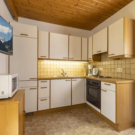 With Panoramic View Ramsau im Zillertal